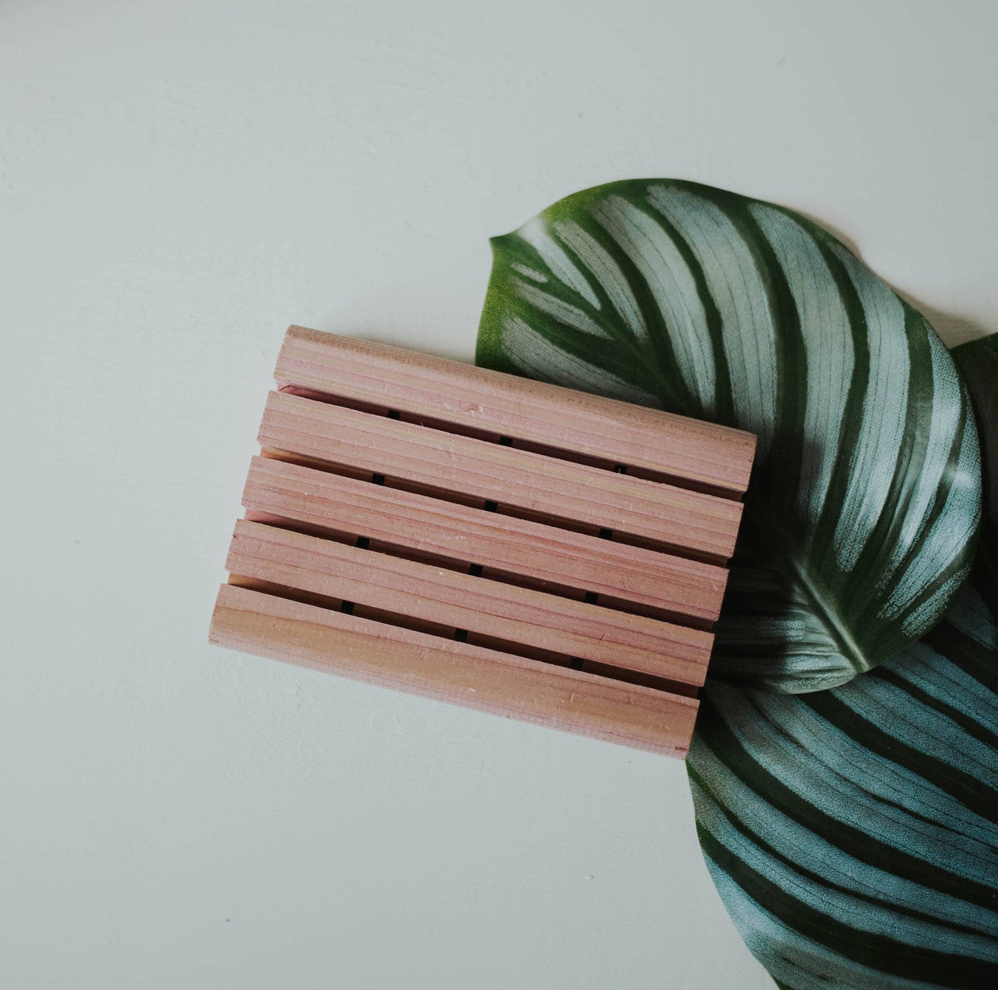 Red Cedar Soap Tray | Zero Waste Handmade Soap Dish